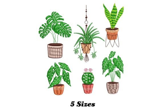 House Plants