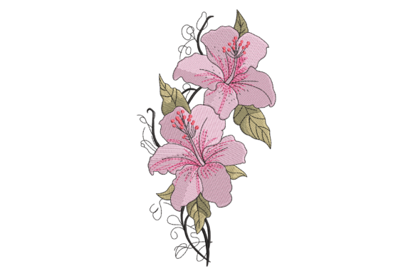 Pink Lily Flower