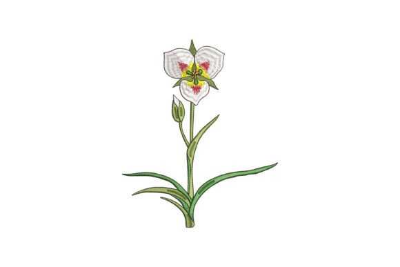 Sego Lily Bloom